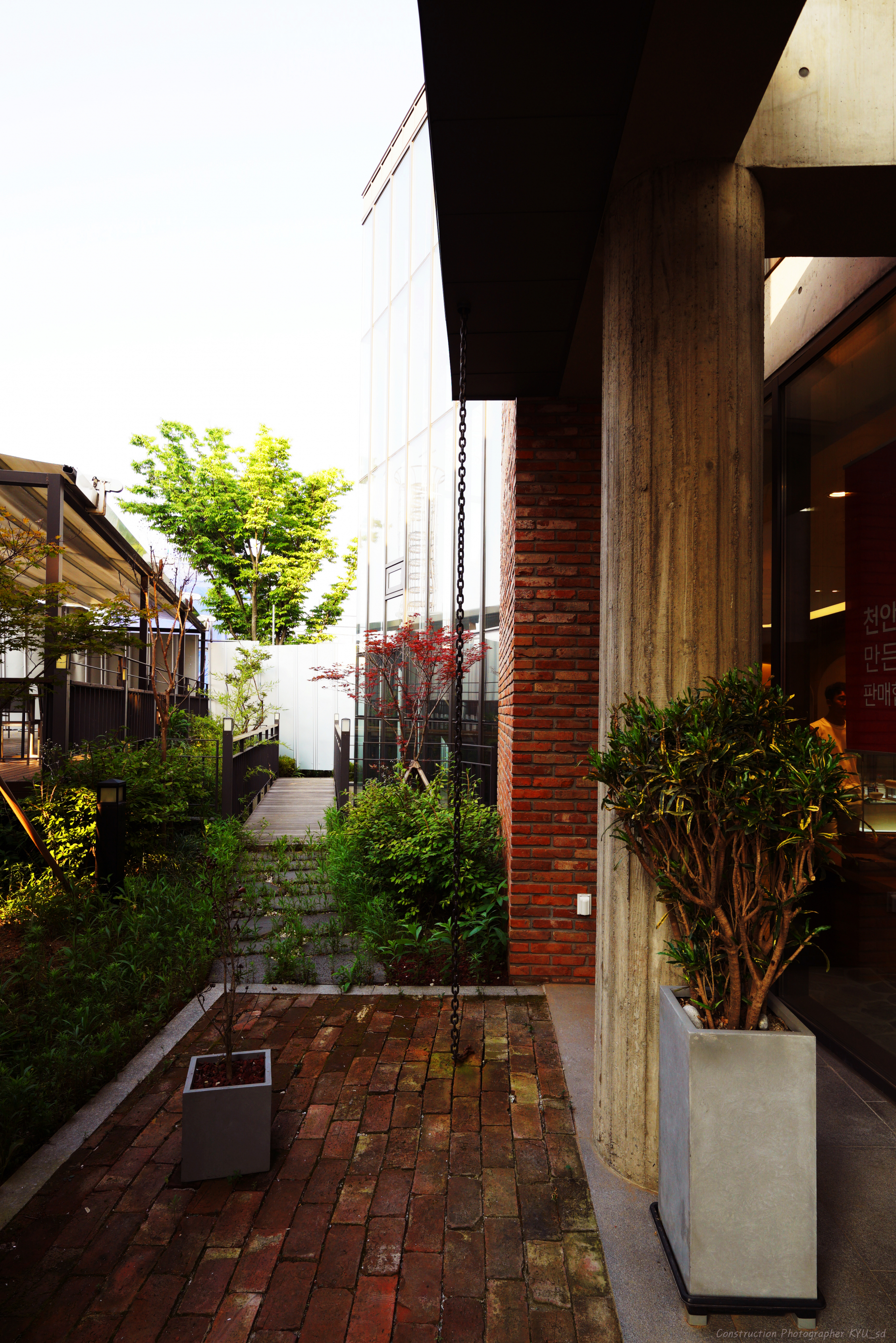 DSC02381-1.jpg