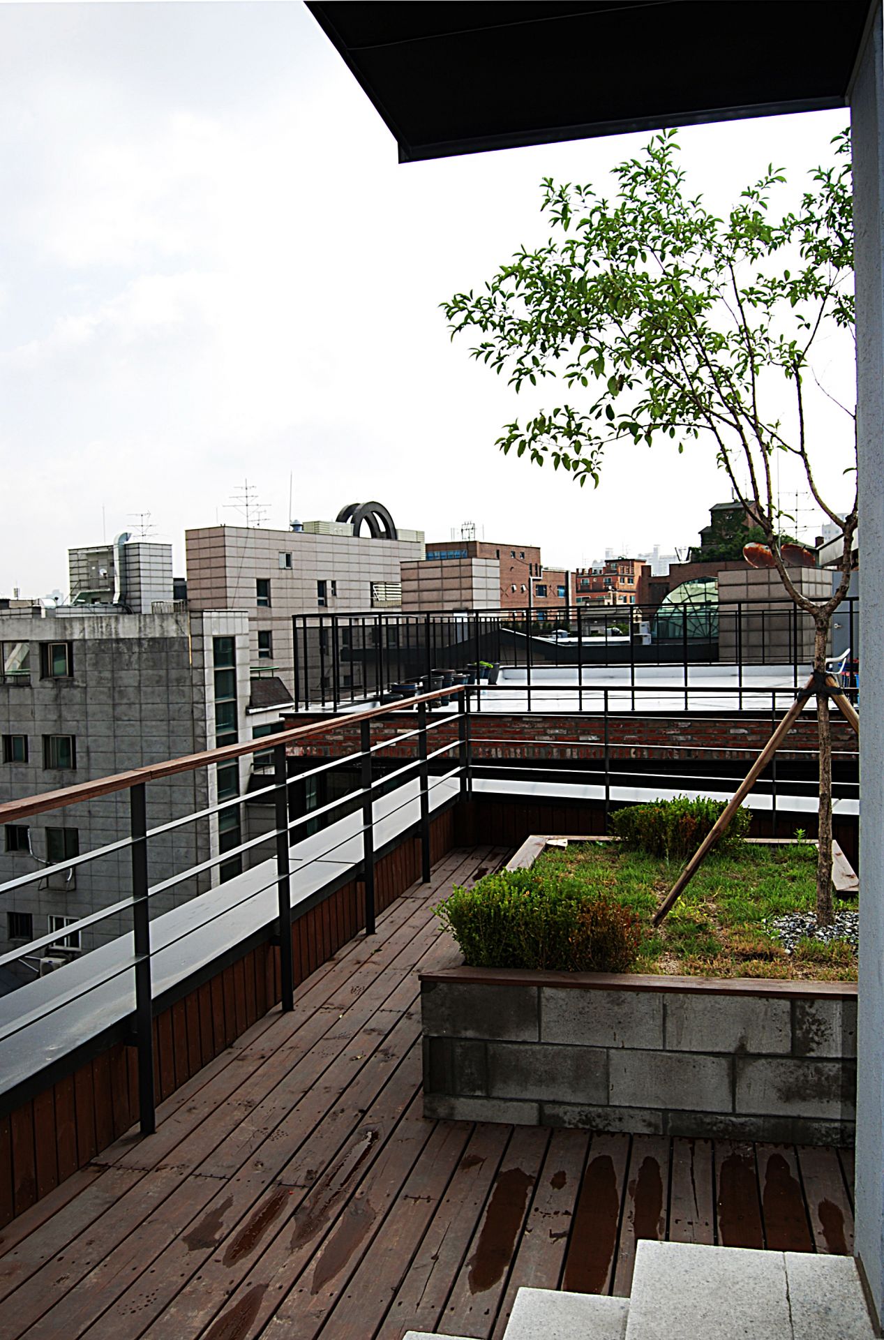 신사동 (1).jpg